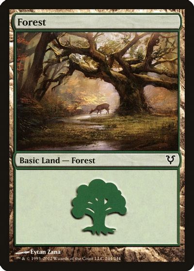 Forest (244) card art