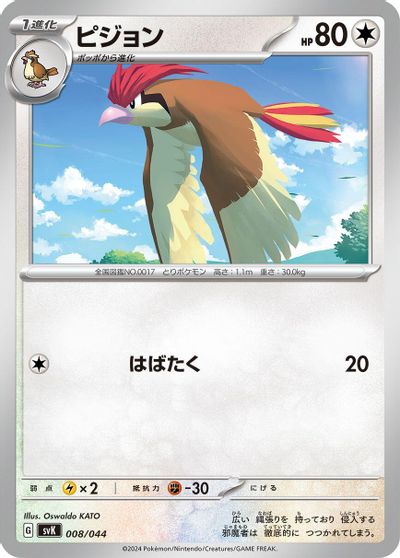 Pidgeotto card art