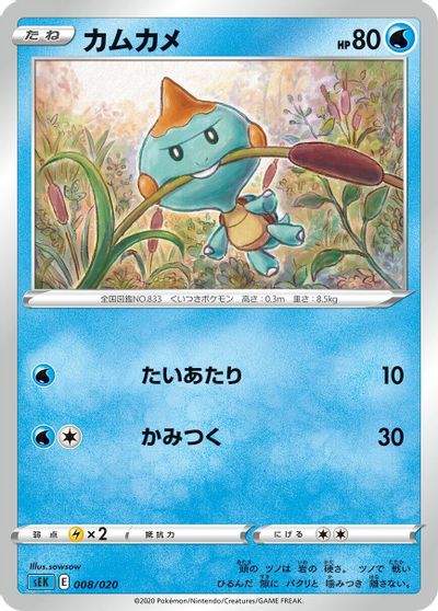 Chewtle card art