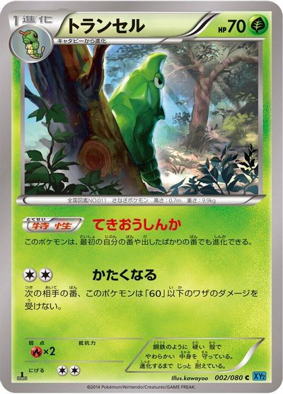 Metapod card art