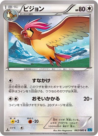 Pidgeotto card art
