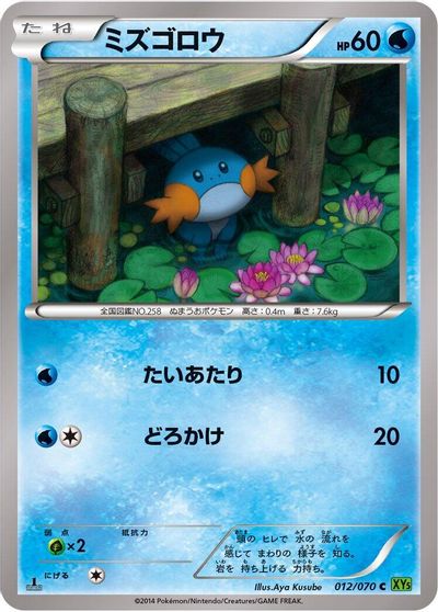 Mudkip card art