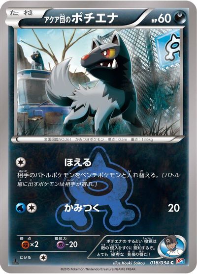 Team Aqua's Poochyena card art