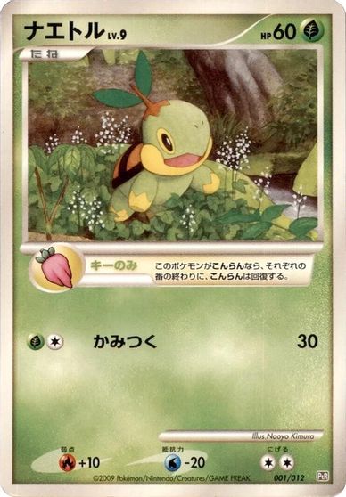 Turtwig card art
