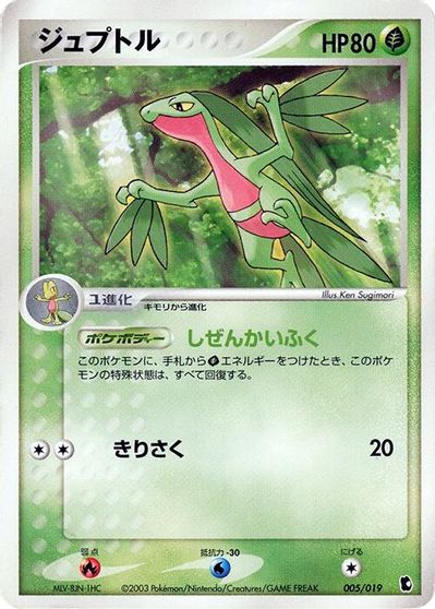 Grovyle - 005/019 card art