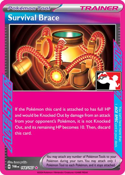 Survival Brace - 164/167 card art