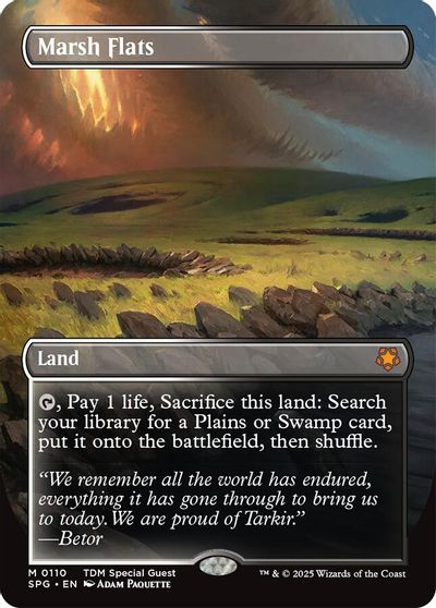 Marsh Flats (Borderless) card art