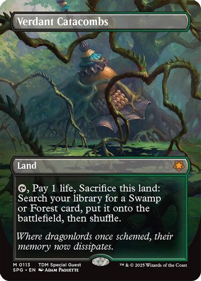 Verdant Catacombs (Borderless) card art