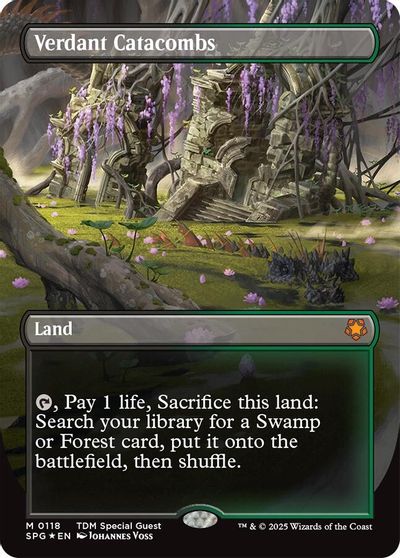 Verdant Catacombs (Borderless) (Dragonscale Foil) card art