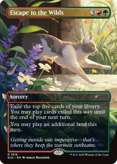 Escape to the Wilds (1916) card art