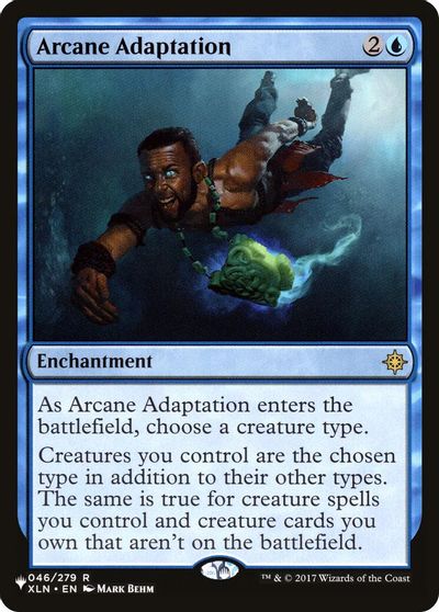 Arcane Adaptation card art