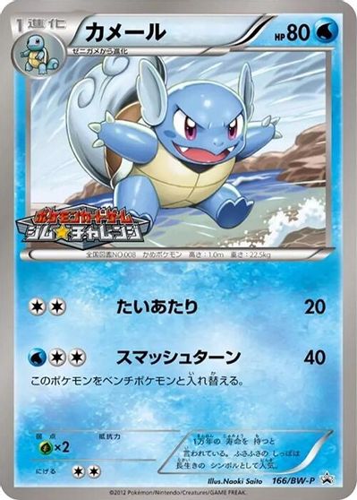 Wartortle - 166/BW-P card art