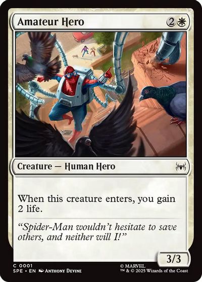 Amateur Hero card art