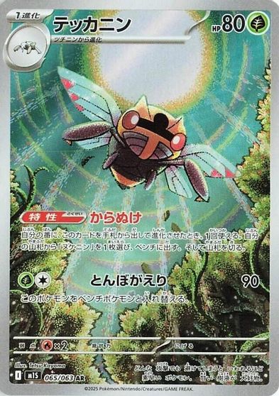 Ninjask - 065/063 card art