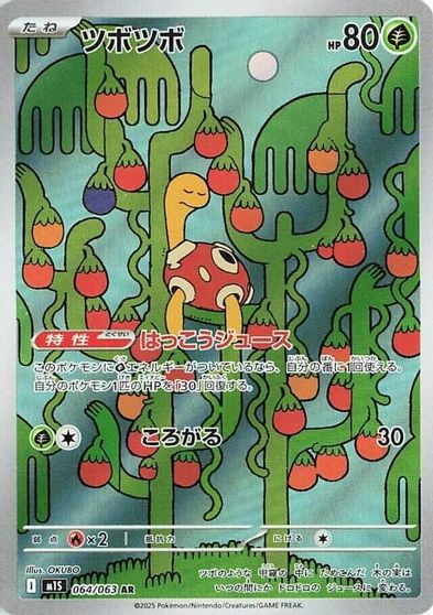 Shuckle - 064/063 card art