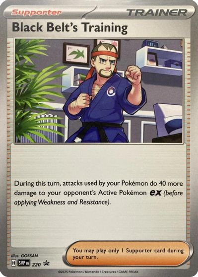 Black Belt's Training - 220 card art