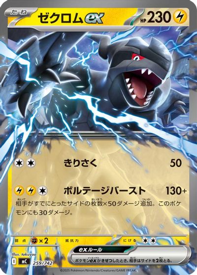 Zekrom ex card art