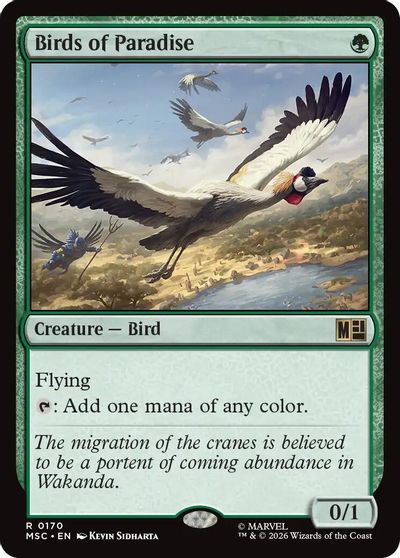 Birds of Paradise card art