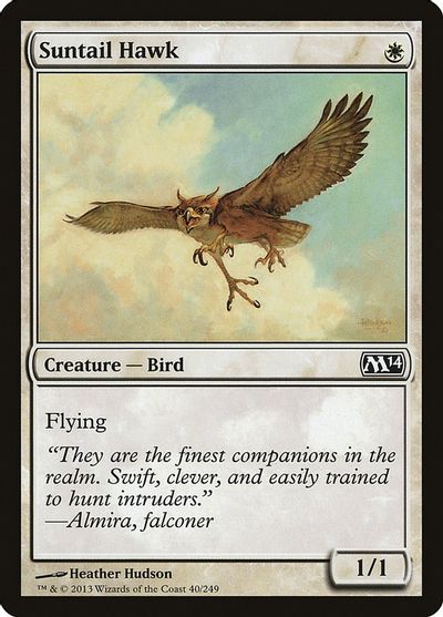 Suntail Hawk card art
