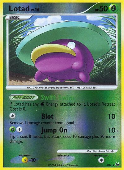 Lotad (Shiny) card art