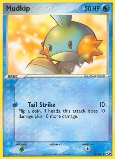 Mudkip card art