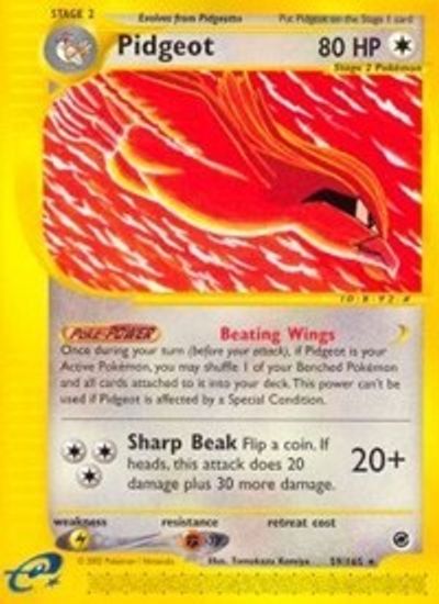 Pidgeot (59) card art