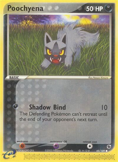 Poochyena - 65/109 card art