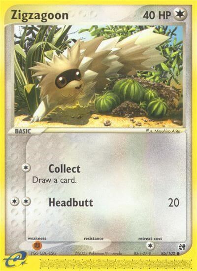 Zigzagoon card art