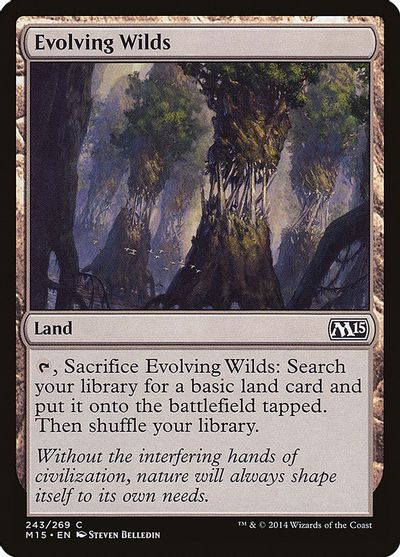 Evolving Wilds card art