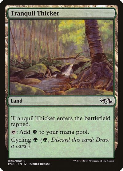 Tranquil Thicket card art