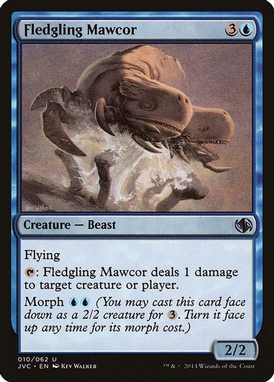 Fledgling Mawcor card art