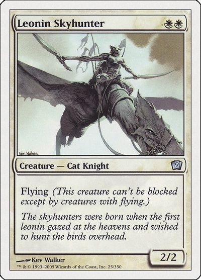 Leonin Skyhunter card art