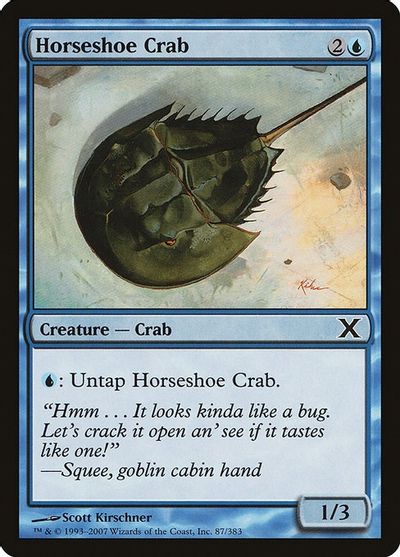 Horseshoe Crab card art