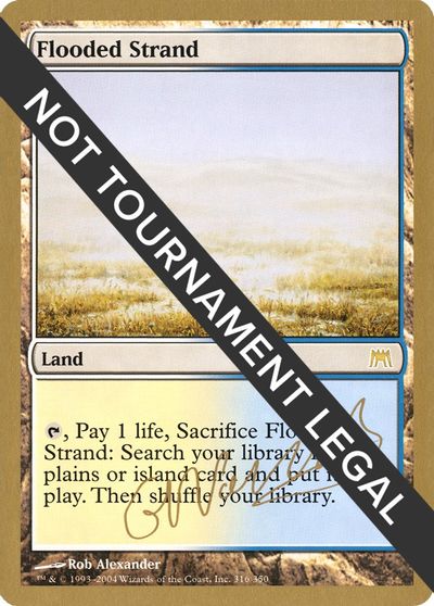 Flooded Strand - 2004 Gabriel Nassif (ONS) card art