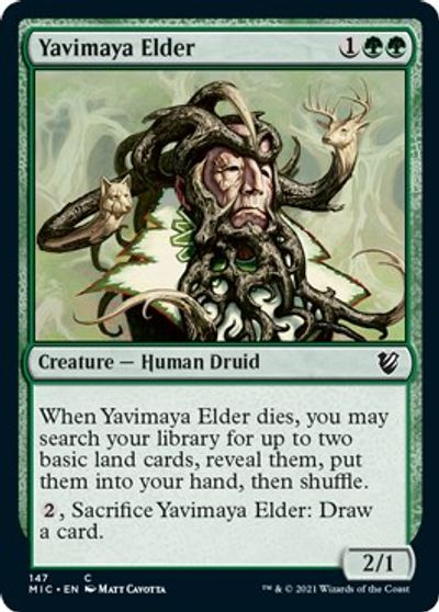 Yavimaya Elder card art