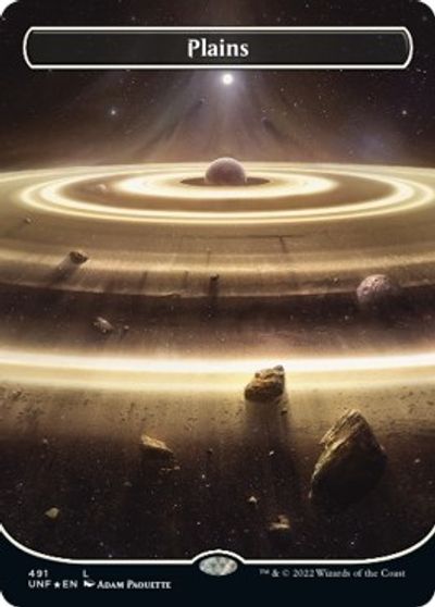 Plains (491) (Borderless) (Galaxy Foil) card art