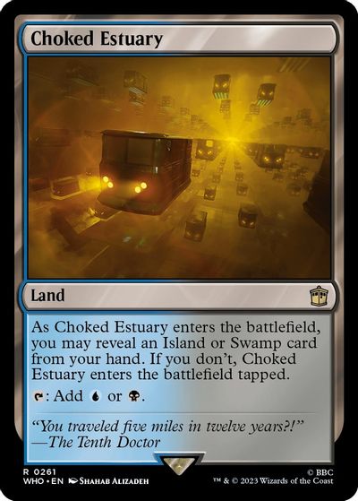Choked Estuary card art