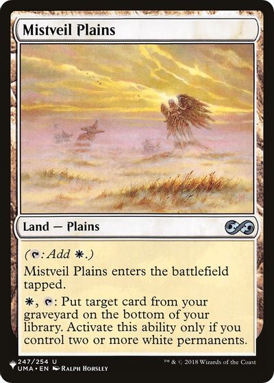 Mistveil Plains card art