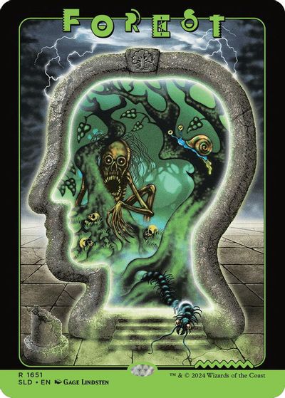 Forest (1651) card art