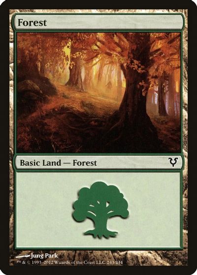Forest (243) card art
