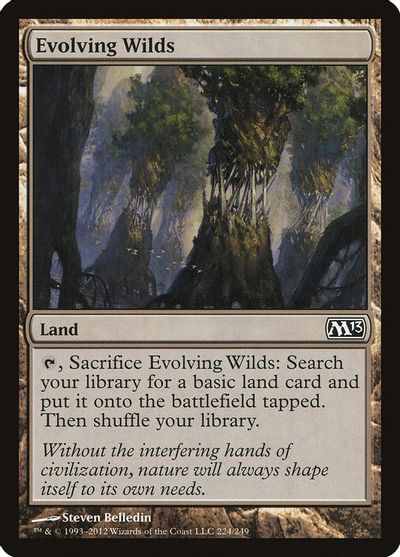 Evolving Wilds card art