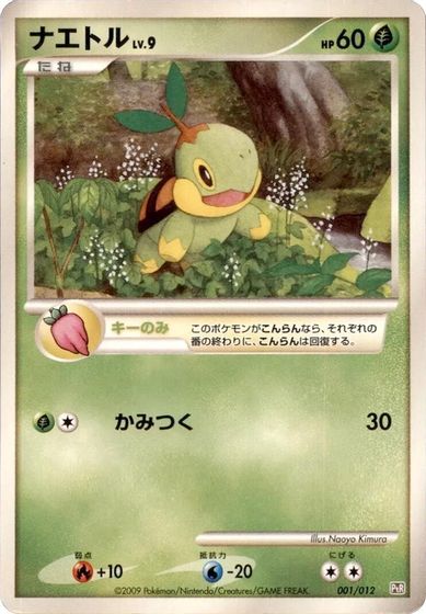 Turtwig card art