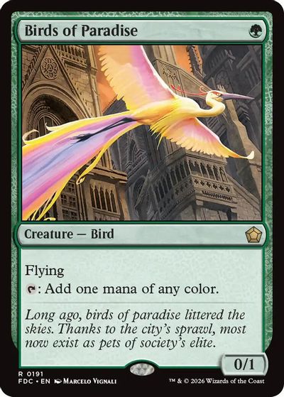 Birds of Paradise card art