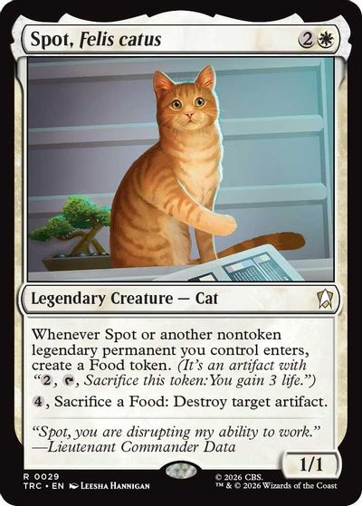 Spot, Felis catus card art